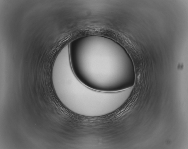 X0000095551156200712141549