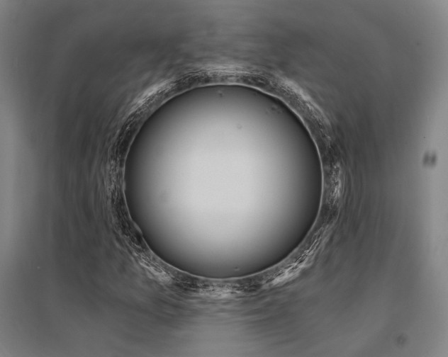 X0000095551157200712141549