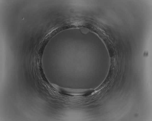 X0000095551158200712141549