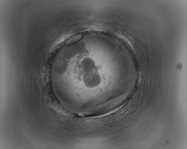 X0000095551159200712141549