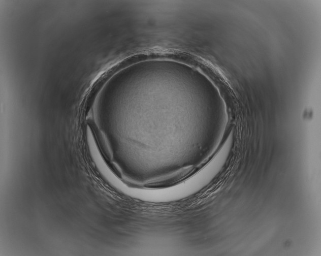 X0000095551160200712141549