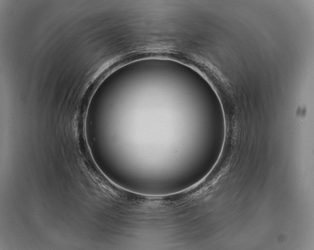 X0000095551162200712141549