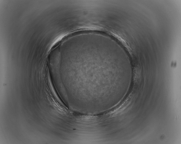 X0000095551163200712141548