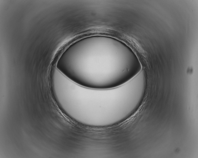 X0000095551164200712141548