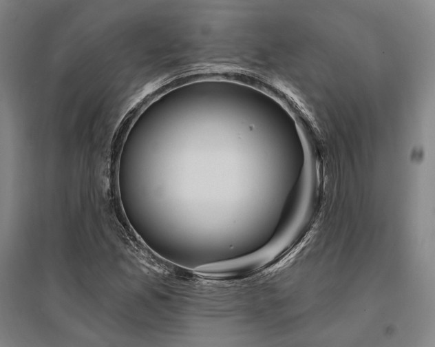 X0000095551165200712141548
