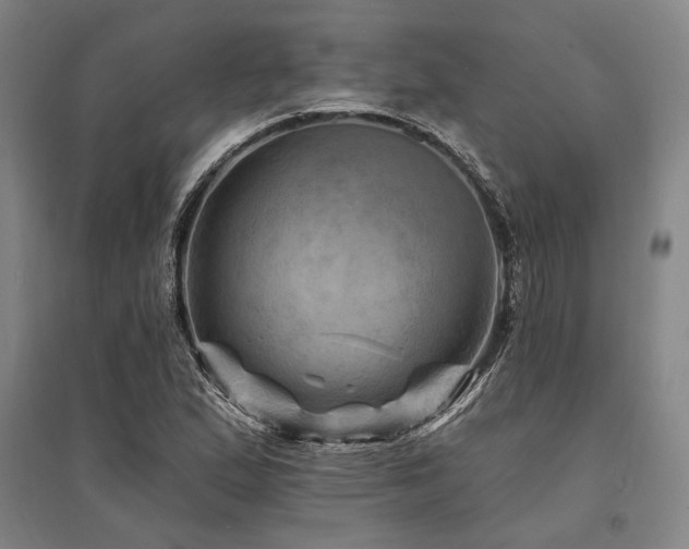 X0000095551167200712141548
