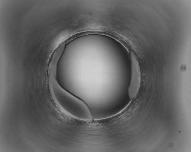 X0000095551168200712141548