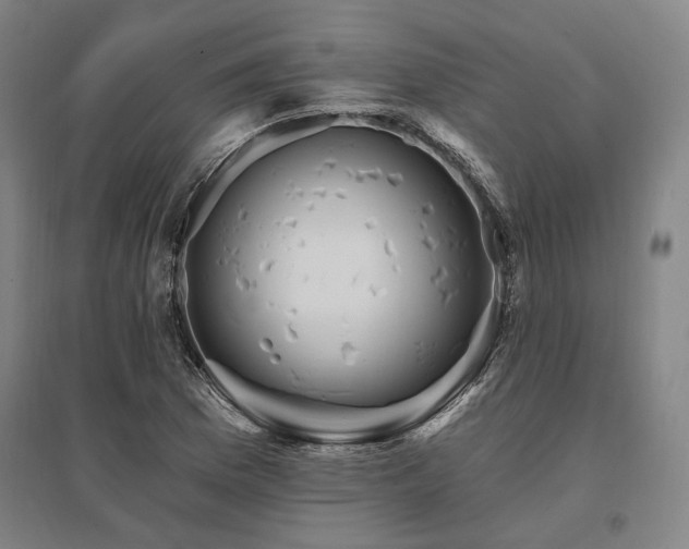 X0000095551169200712141548