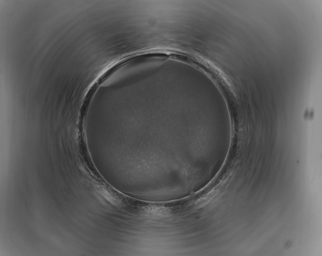 X0000095551170200712141548