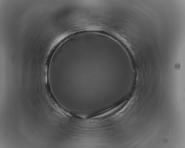 X0000095551171200712141548