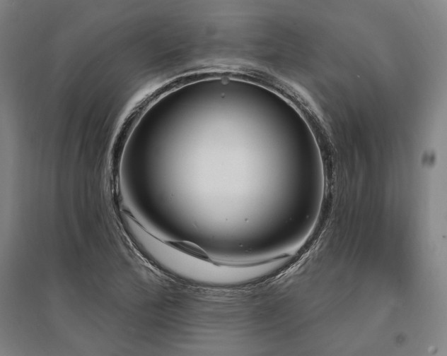 X0000095551172200712141548