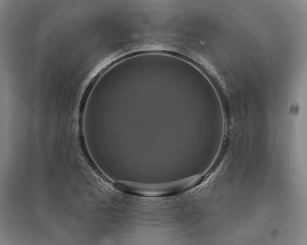 X0000095551173200712141548