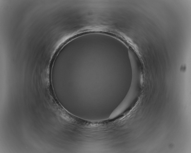 X0000095551174200712141548