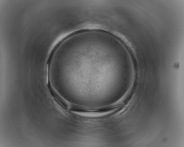 X0000095551175200712141548