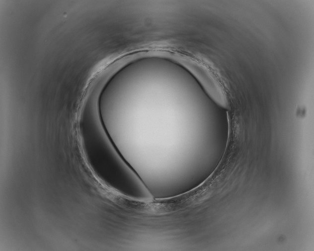 X0000095551176200712141548