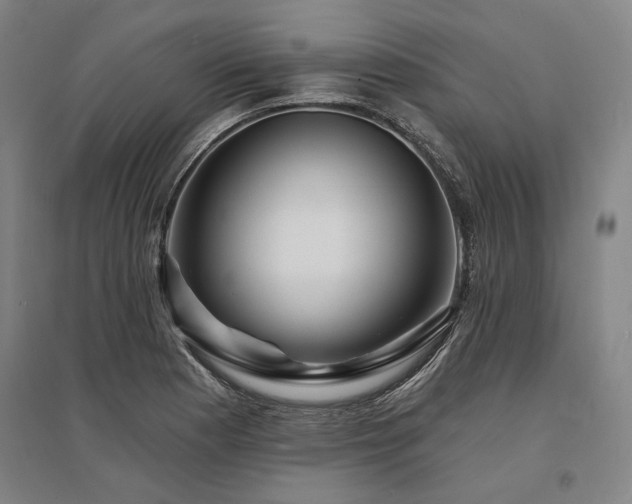 X0000095551177200712141548