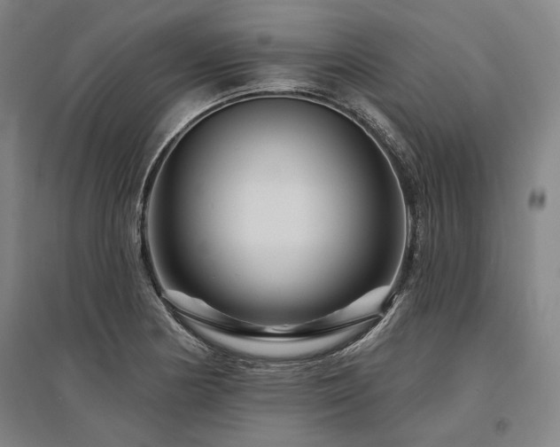 X0000095551178200712141548