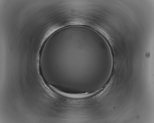 X0000095551179200712141548