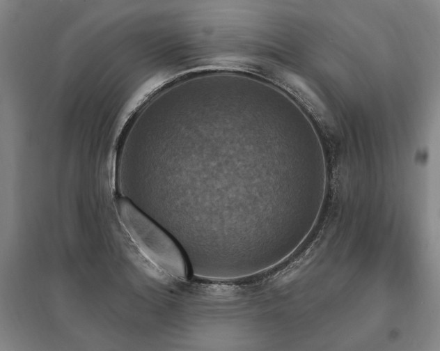 X0000095551180200712141548