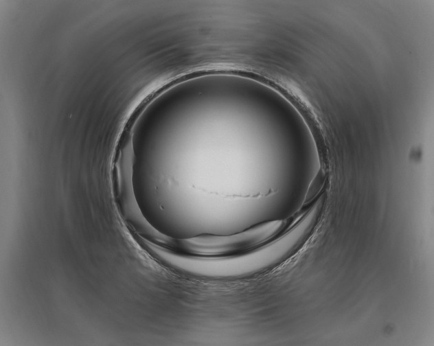 X0000095551181200712141548