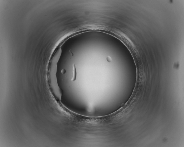 X0000095551182200712141548