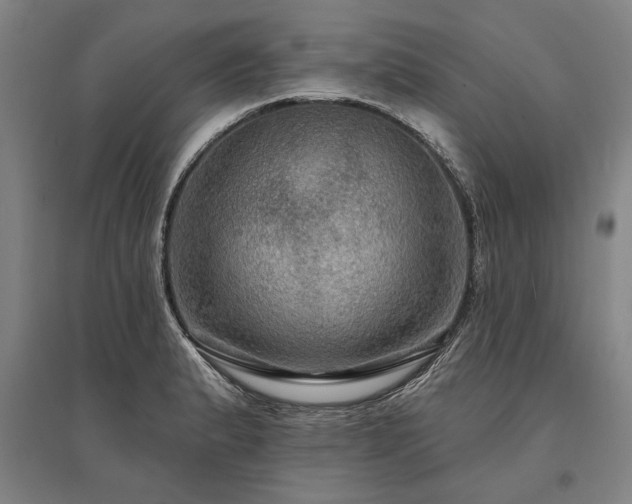 X0000095551183200712141548