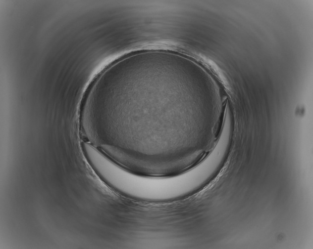 X0000095551184200712141548