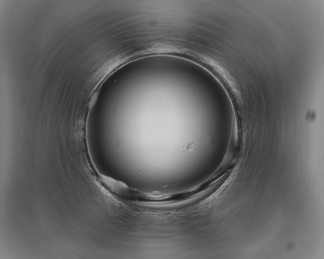 X0000095551185200712141548