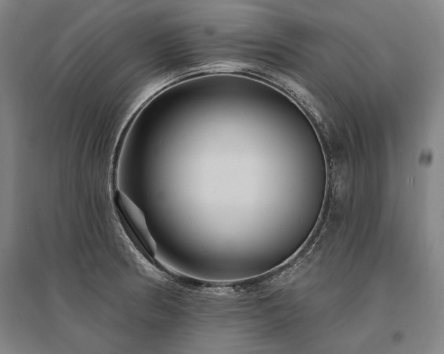 X0000095551186200712141548