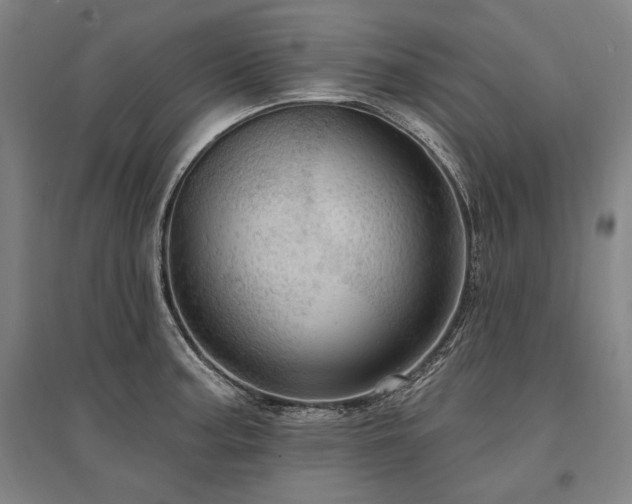 X0000095551187200712141548