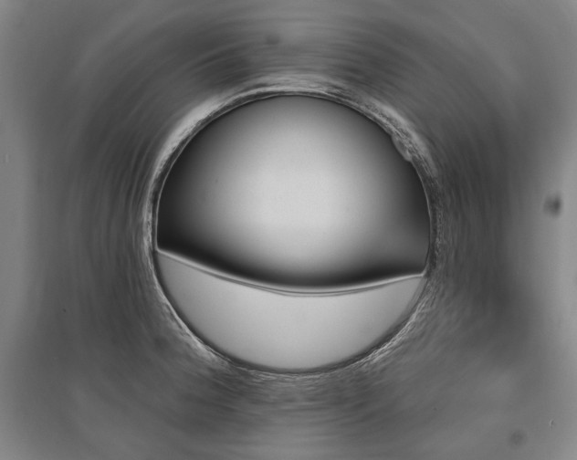 X0000095551188200712141548