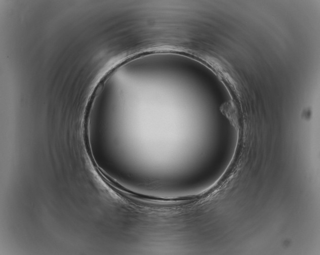 X0000095551189200712141548