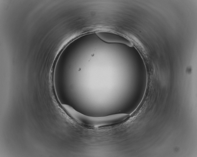 X0000095551190200712141548