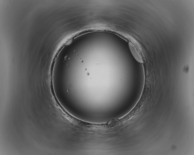 X0000095551191200712141548