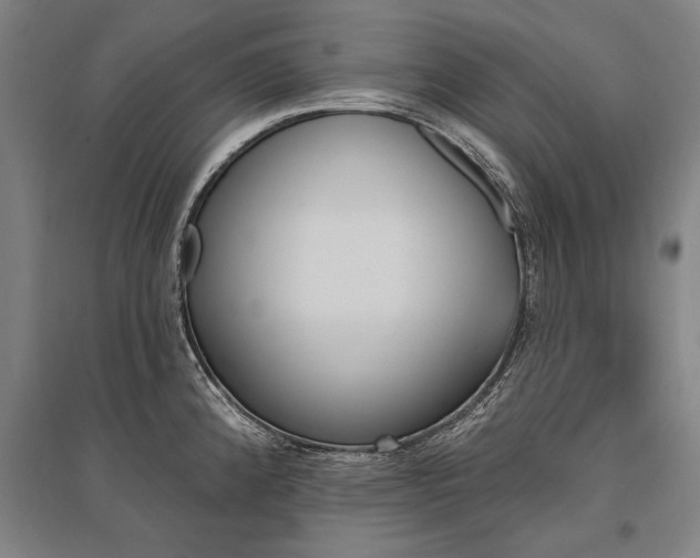 X0000095551192200712141548