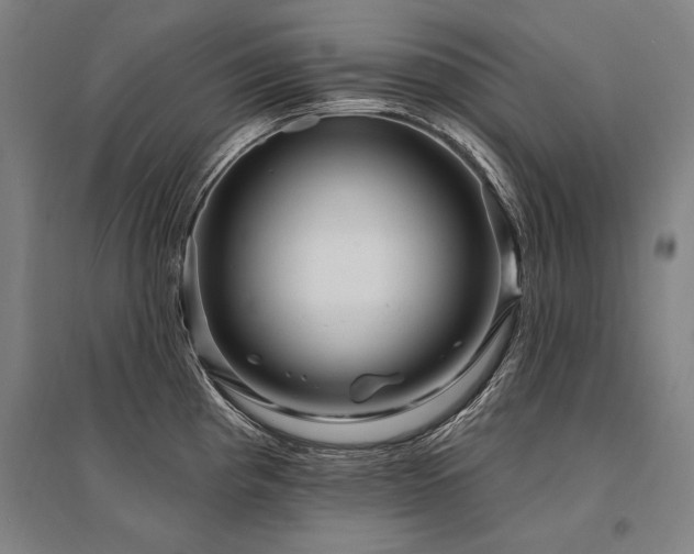 X0000095551193200712141548