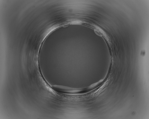 X0000095551194200712141548