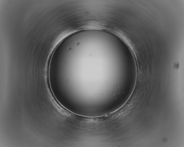 X0000095551195200712141548