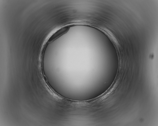 X0000095551196200712141548