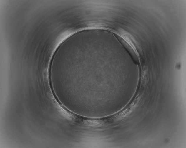 X0000095551197200712141548