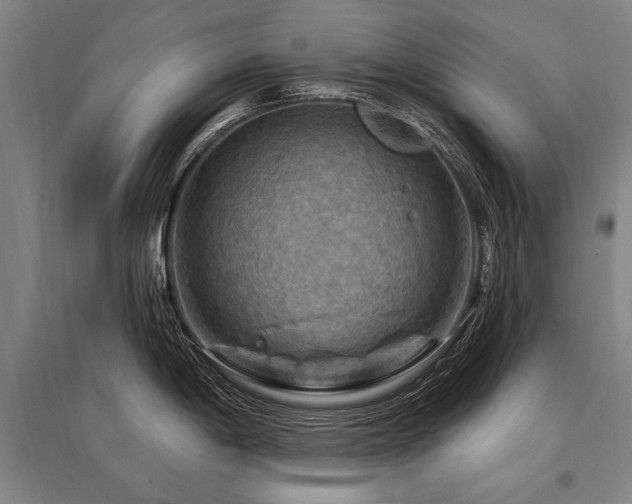 X0000095551198200712141548