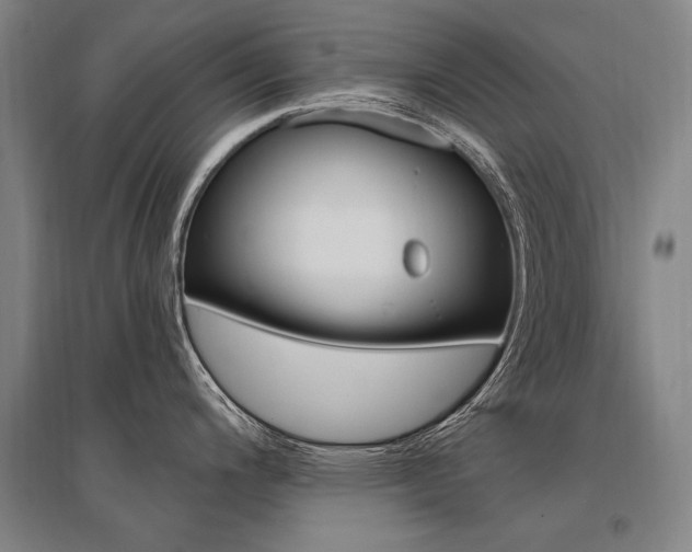 X0000095551200200712141548