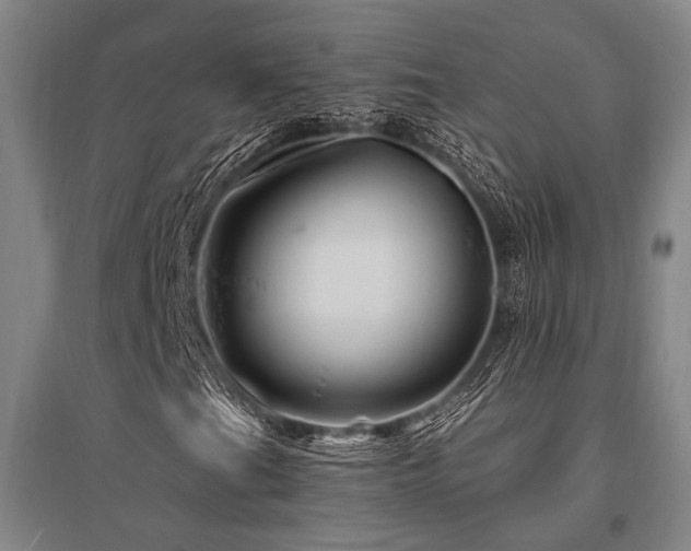 X0000095551201200712141547