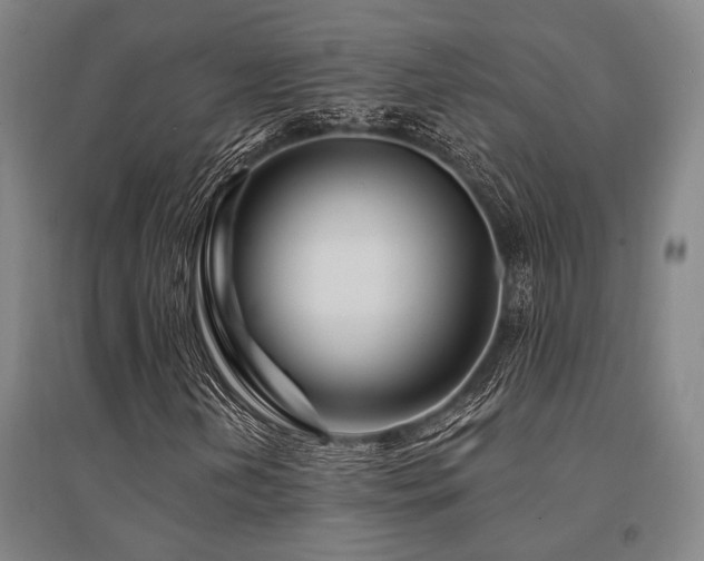 X0000095551202200712141547