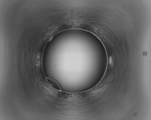 X0000095551203200712141547