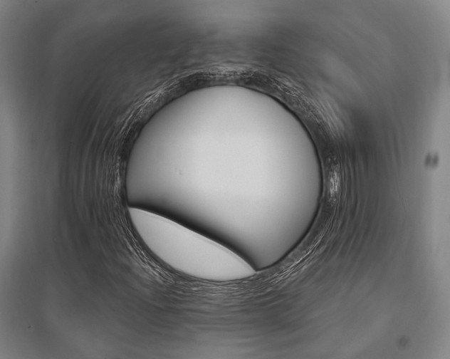 X0000095551204200712141547