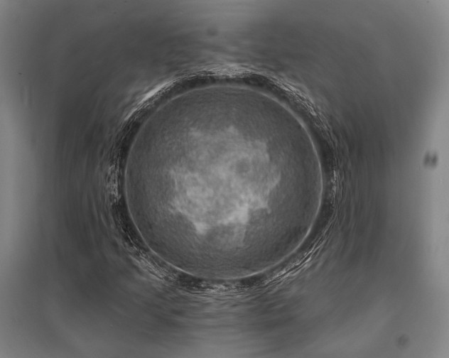X0000095551205200712141547