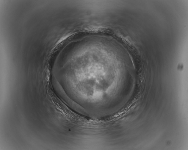X0000095551206200712141547
