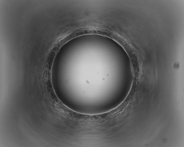 X0000095551207200712141547