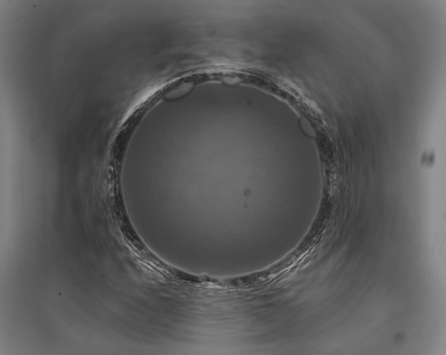 X0000095551208200712141547